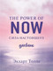 Миниатюра изображения товара Дневничок Эксмо The power of now. Cила настоящего / 9785041765934 (Толле Экхарт)