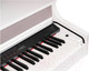 Миниатюра изображения товара Цифровое фортепиано Medeli DP388-GW (белый глянцевый)