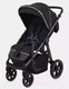 Миниатюра изображения товара Детская прогулочная коляска Rant Caspia 2.0 / RA100 (Black)