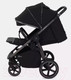 Миниатюра изображения товара Детская прогулочная коляска Rant Caspia 2.0 / RA100 (Black)