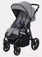Миниатюра изображения товара Детская прогулочная коляска Rant Caspia 2.0 / RA100 (Grey)