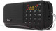 Миниатюра изображения товара Радиоприемник Ritmix RPR-007 (черный)