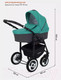 Миниатюра изображения товара Детская универсальная коляска Rant Dream 2 в 1 (08, серый/темно-зеленый)