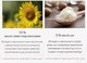 Миниатюра изображения товара Сыворотка для лица Derma Factory Volufiline 20% Ampoule Stick (10мл)