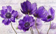 Миниатюра изображения товара Картина Декарт Фиолетовые цветы 8Л3114 (авторская на холсте)
