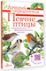 Миниатюра изображения товара Энциклопедия АСТ Певчие птицы. Определитель с голосами птиц (Архипов Владимир, Коблик Евгений)