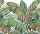 Миниатюра изображения товара Фотообои листовые Vimala Банановые листья на белом (270x300)
