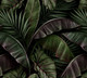 Миниатюра изображения товара Фотообои листовые Vimala Густые листья 3 (270x300)