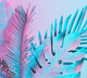 Миниатюра изображения товара Фотообои листовые Vimala Неоновые листья (270x300)