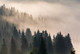 Фотообои листовые Vimala Лес в тумане 3 (270x400) — фото 6