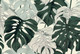 Миниатюра изображения товара Фотообои листовые Vimala Листья монстеры 2 (270x400)