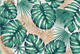 Миниатюра изображения товара Фотообои листовые Vimala Листья монстеры 3 (270x400)