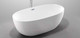 Миниатюра изображения товара Ванна акриловая Wellis Oval 150х75 / WK00132