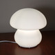 Миниатюра изображения товара Прикроватная лампа Элетех Сэта ННБ 63-60-005 / 1005301094 (опал матовый)