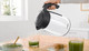 Миниатюра изображения товара Электрочайник Bosch TWK7L461