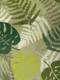 Миниатюра изображения товара Плед TexRepublic Absolute Монстера и папоротник Фланель 180x200 / 59753 (оливковый/зеленый)