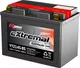 Миниатюра изображения товара Мотоаккумулятор RDrive eXtremal Platinum YTZ14S-BS (11.8 А/ч)