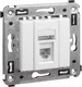 Миниатюра изображения товара Розетка DKC Avanti RJ-12 / 4400313 (белое облако)
