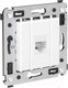 Миниатюра изображения товара Розетка DKC Avanti RJ-45 / 4400663 (белое облако)