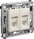 Миниатюра изображения товара Розетка DKC Avanti RJ-45 / 4405464 (ванильная дымка)