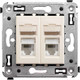 Миниатюра изображения товара Розетка DKC Avanti RJ-45 / 4405464 (ванильная дымка)