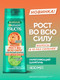 Миниатюра изображения товара Шампунь для волос Garnier Fructis Укрепляющий Рост во всю Силу Красный Апельсин  (400мл)