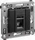 Миниатюра изображения товара Розетка DKC Avanti RJ-45 / 4412463 (черный матовый)