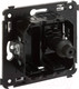 Миниатюра изображения товара Розетка DKC Avanti / 4412503 (черный матовый)