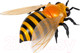 Миниатюра изображения товара Радиоуправляемая игрушка Bondibon Пчела / ВВ5911