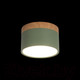 Миниатюра изображения товара Точечный светильник Loftit Grape 10162 (зеленый)
