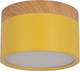 Миниатюра изображения товара Точечный светильник Loftit Grape 10162 (желтый)