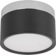 Миниатюра изображения товара Потолочный светильник Loftit Photon 10179/12 (черный)