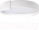 Миниатюра изображения товара Потолочный светильник Loftit Coin 10200 (белый)