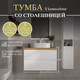 Миниатюра изображения товара Тумба под умывальник ЗОВ Дион 100 / D100LWP0M9003MKV5-HPL38T (туя/белый матовый)