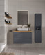 Миниатюра изображения товара Тумба под умывальник ЗОВ Дион 100 / D100LAFM7015MKV5-HPL38T (туя/графит матовый)