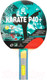 Миниатюра изображения товара Ракетка для настольного тенниса Giant Dragon Karate 4 Start New / 51.624.03.3