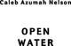 Миниатюра изображения товара Книга Inspiria В омут с головой (Нельсон Калеб Азума)
