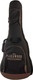 Миниатюра изображения товара Электроакустическая гитара Parkwood S26-GT (с чехлом)