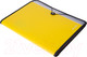 Миниатюра изображения товара Папка для бумаг Deli Rio / 38965 (желтый)