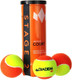 Миниатюра изображения товара Набор теннисных мячей Diadem Stage 2 Orange / BALL-CASE-ORANGE (3шт)