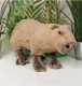 Миниатюра изображения товара Мягкая игрушка Fancy Капибара / KAPI1