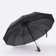 Миниатюра изображения товара Зонт складной Rain Berry 734-31202 (черный)