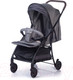 Миниатюра изображения товара Детская прогулочная коляска Acarento Primavera / AS110 (светло-серый)