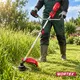 Миниатюра изображения товара Триммер электрический Wortex TE 4217-1 S (0318228)