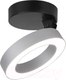 Миниатюра изображения товара Трековый светильник Elektrostandard Spila 12W 4200К / 25105/LED (серебристый)