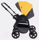 Миниатюра изображения товара Детская универсальная коляска Rant Basic Riva 2 в 1 / PW 01 (желтый)