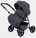 Миниатюра изображения товара Детская универсальная коляска Rant Basic Riva 2 в 1 / PW 03 (графит)