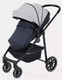 Миниатюра изображения товара Детская универсальная коляска Rant Basic Azure 2 в 1 / RA157 (серый)