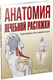 Миниатюра изображения товара Книга Попурри Анатомия лечебной растяжки: быстрое избавление от боли (Берг Кристиан)