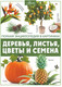 Миниатюра изображения товара Энциклопедия АСТ Деревья, листья, цветы и семена (Спектор А.А.)